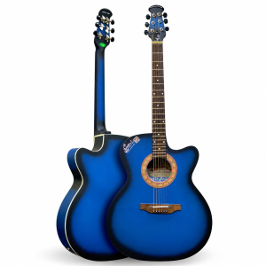 Indian Signature Blue Acoustic+semi electric guitar