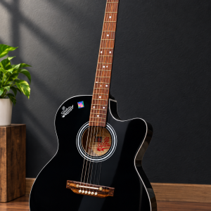 Brand new Signature glossy guitar
