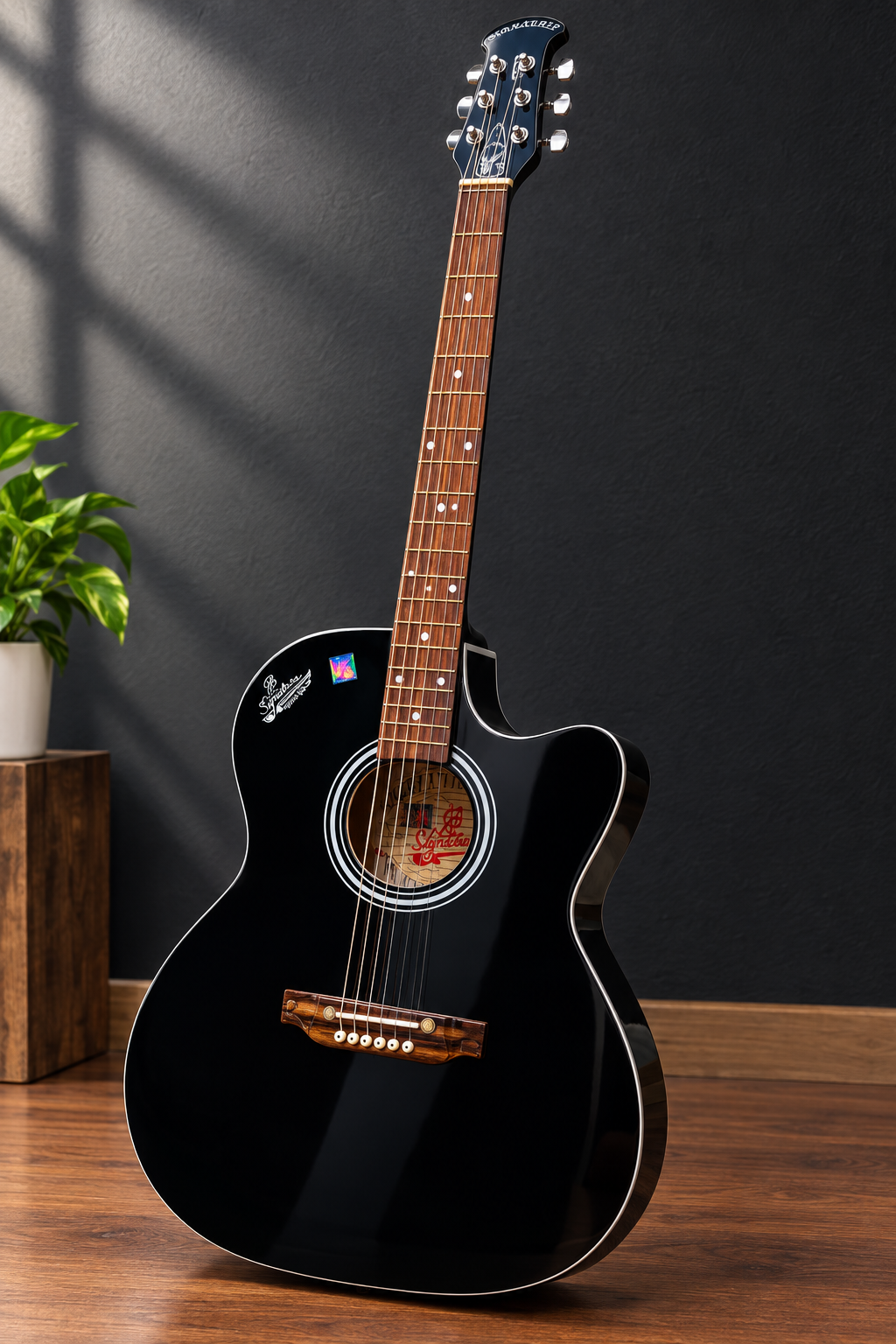 Brand new Signature glossy guitar